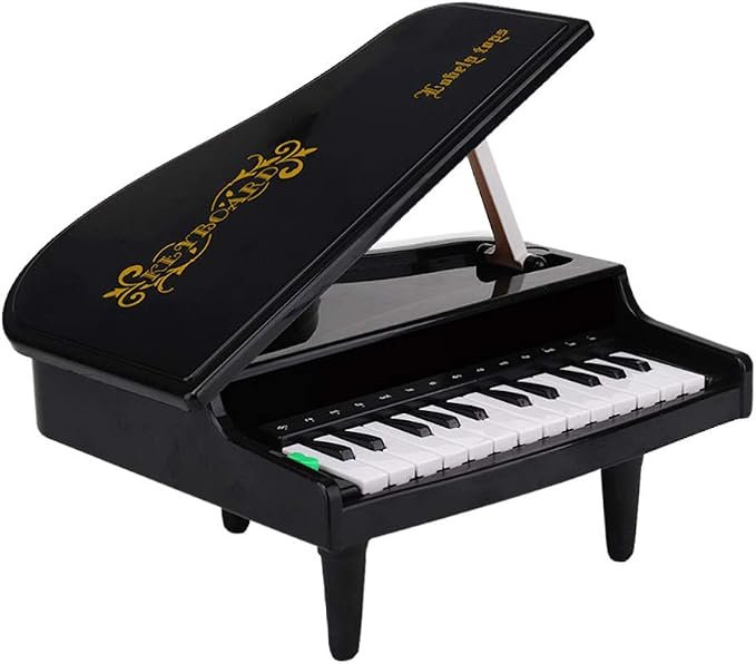 Baby Piano Toy Toddler Piano Keyboard Toy Kids Musical Instruments Birthday Gifts For Kids Infants Baby Toddlers without Battery